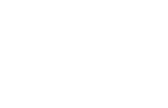 קרנבל של בשר